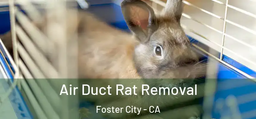  Air Duct Rat Removal Foster City - CA