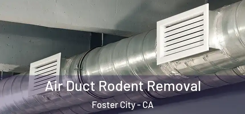 Air Duct Rodent Removal Foster City - CA