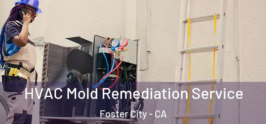 HVAC Mold Remediation Service Foster City - CA