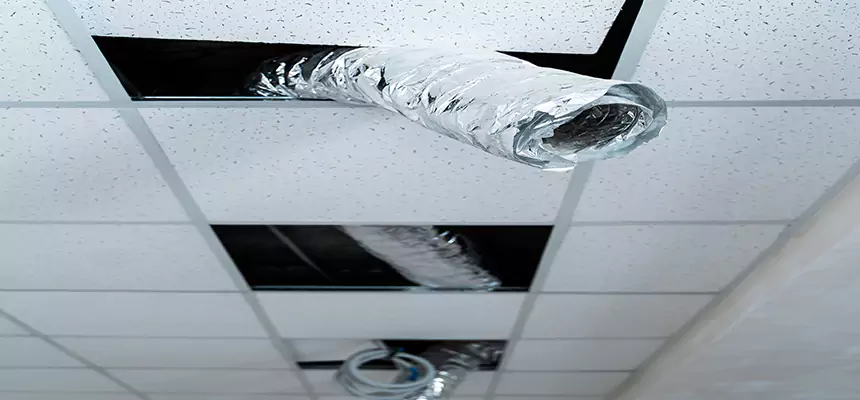 Our Air Duct Pet Hair Removal Services in Foster City, CA