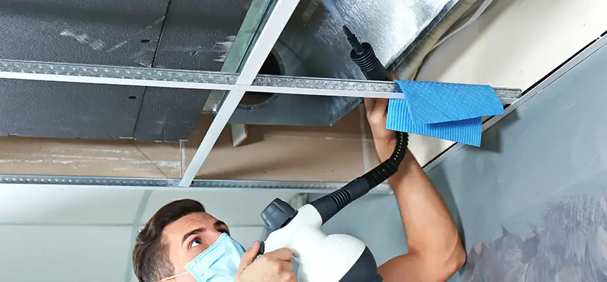 Our Air Duct Rodent Removal Services in Foster City, CA