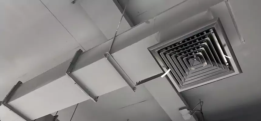 Our Rodent Droppings In Vents Services in Foster City, CA