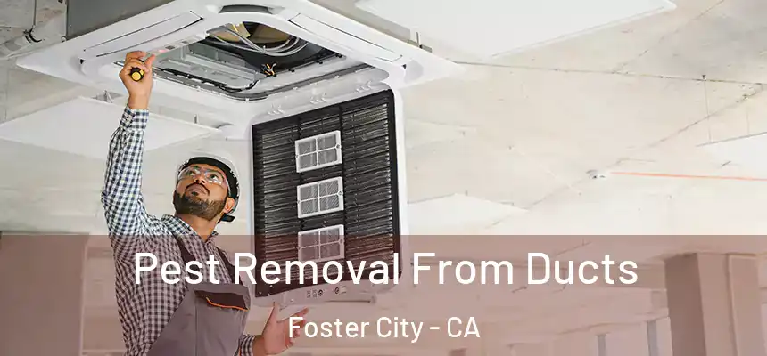  Pest Removal From Ducts Foster City - CA