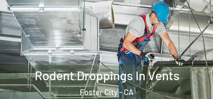 Rodent Droppings In Vents Foster City - CA