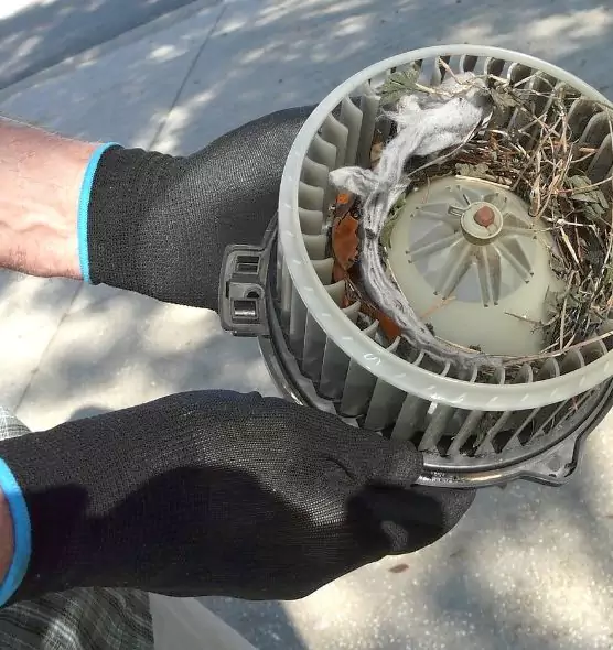 About Air Duct Mice Removal in Foster City, CA