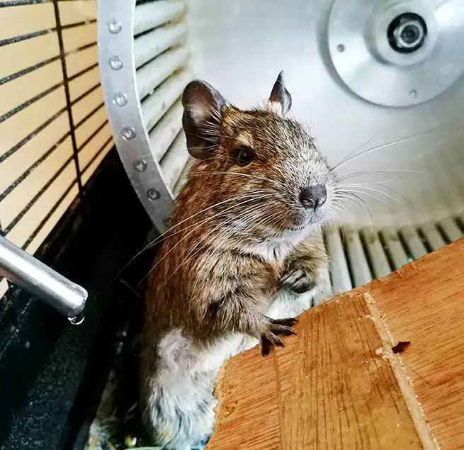 Why Homeowners & Businesses Trust Us Foster City, CA