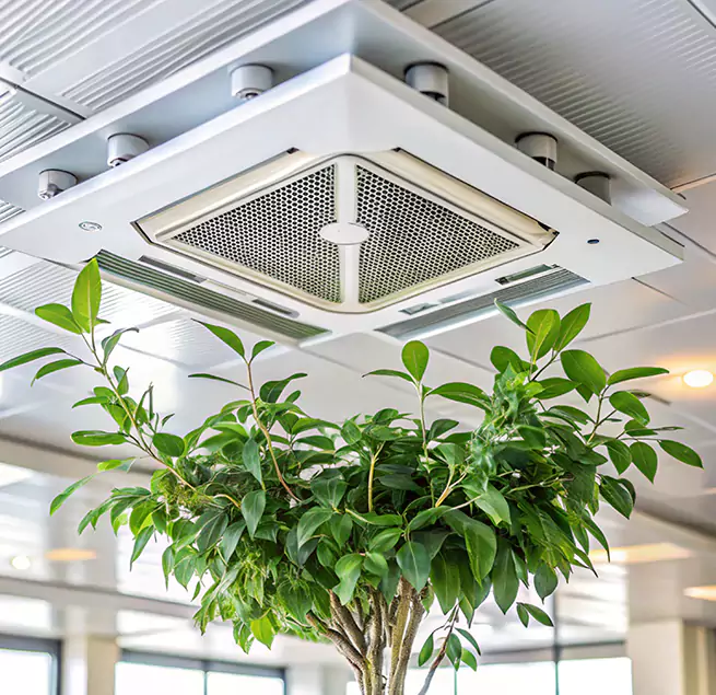 Why Homeowners & Businesses Trust Us in Foster City, CA