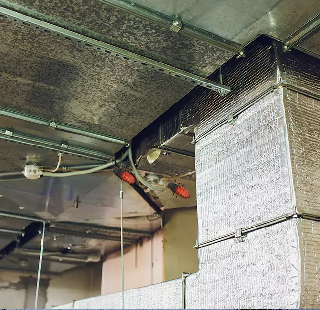 Why Homeowners & Businesses Trust Us Foster City, CA?